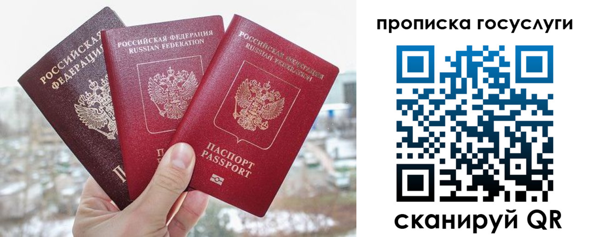 прописка законно в Великом Новгороде